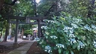 菅生神社の参拝記録(miyumikoさん)