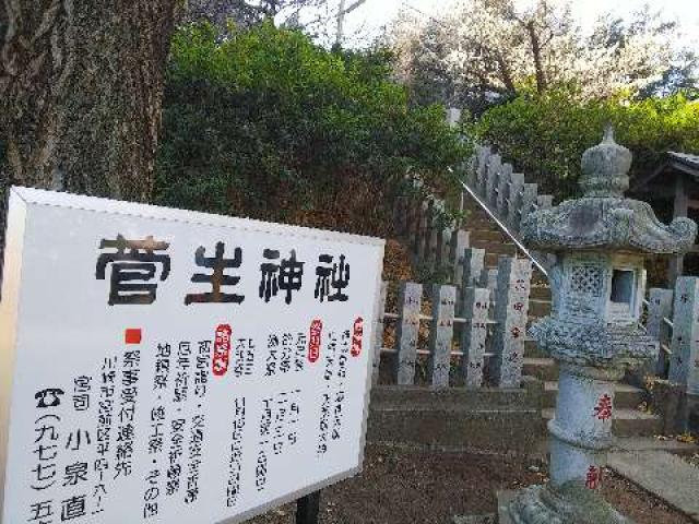 神奈川県川崎市宮前区菅生2-8-1 菅生神社の写真2