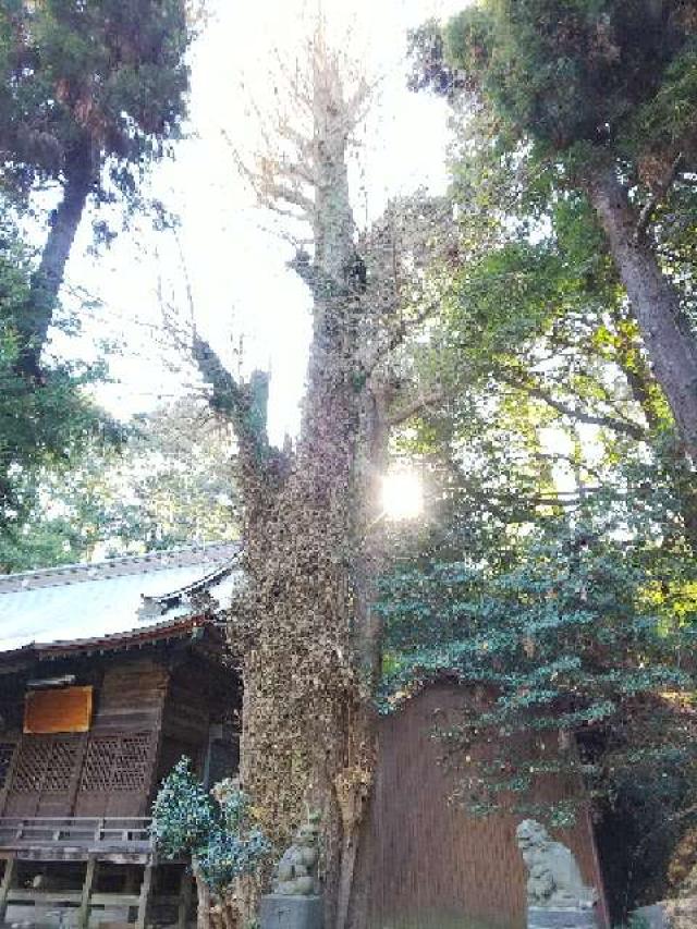 神奈川県川崎市宮前区菅生2-8-1 菅生神社の写真4
