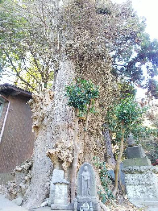 神奈川県川崎市宮前区菅生2-8-1 菅生神社の写真10