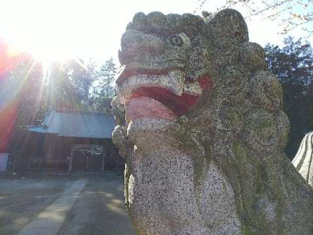 神奈川県川崎市宮前区菅生2-8-1 菅生神社の写真14