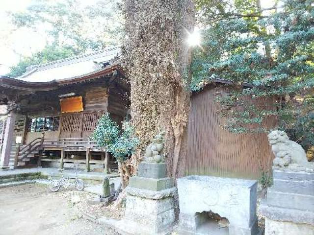 神奈川県川崎市宮前区菅生2-8-1 菅生神社の写真24