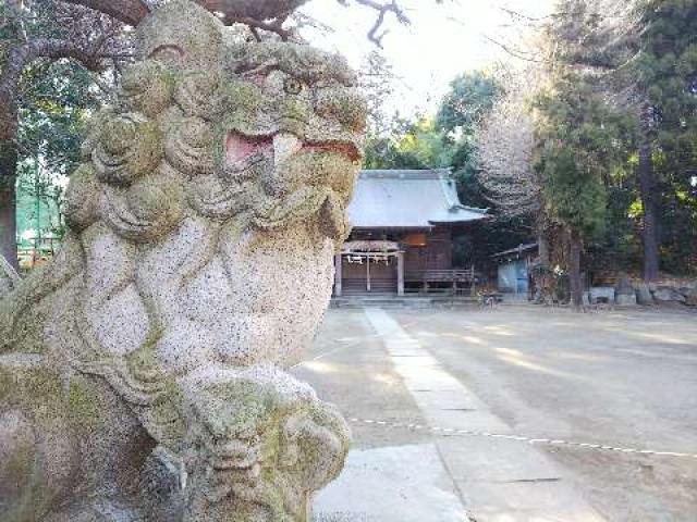 神奈川県川崎市宮前区菅生2-8-1 菅生神社の写真28