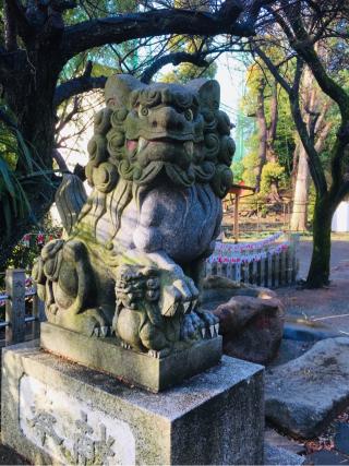 菅生神社の参拝記録(だぁくさん)