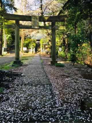 菅生神社の参拝記録(だぁくさん)