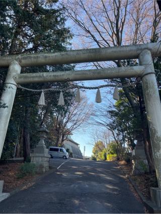 高石神社の参拝記録(⛩️🐍🐢まめ🐢🐍⛩️さん)