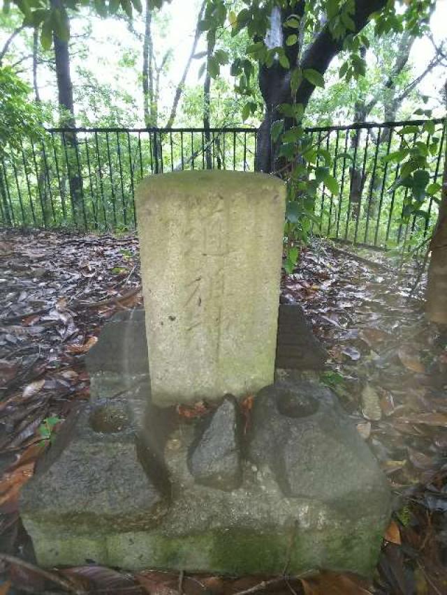 神奈川県川崎市麻生区白鳥2ｰ10ｰ1 白鳥神社の写真8