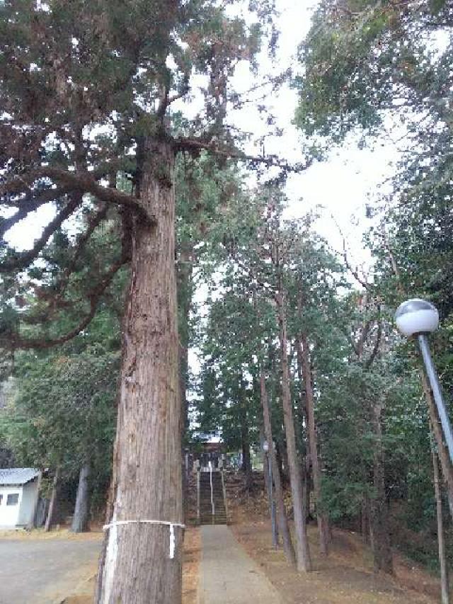 神奈川県川崎市麻生区白鳥2ｰ10ｰ1 白鳥神社の写真25
