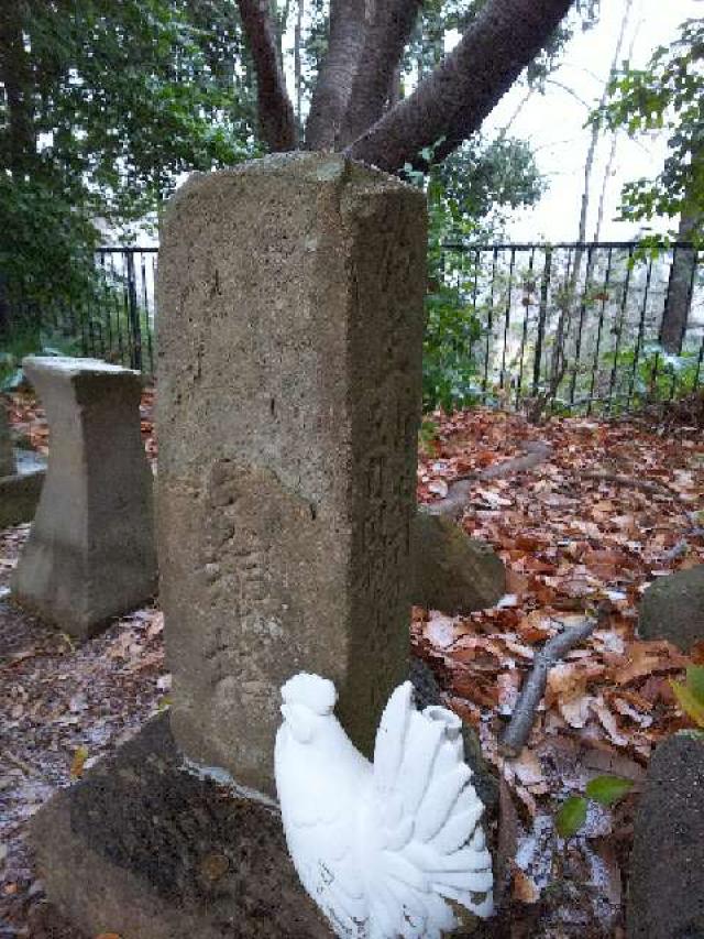 神奈川県川崎市麻生区白鳥2ｰ10ｰ1 白鳥神社の写真27