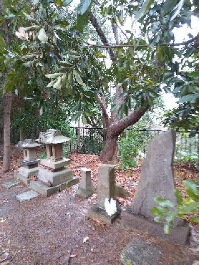 神奈川県川崎市麻生区白鳥2ｰ10ｰ1 白鳥神社の写真29