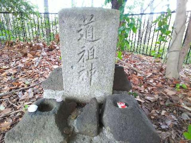 神奈川県川崎市麻生区白鳥2ｰ10ｰ1 白鳥神社の写真38