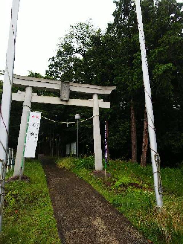 神奈川県川崎市麻生区白鳥2ｰ10ｰ1 白鳥神社の写真46