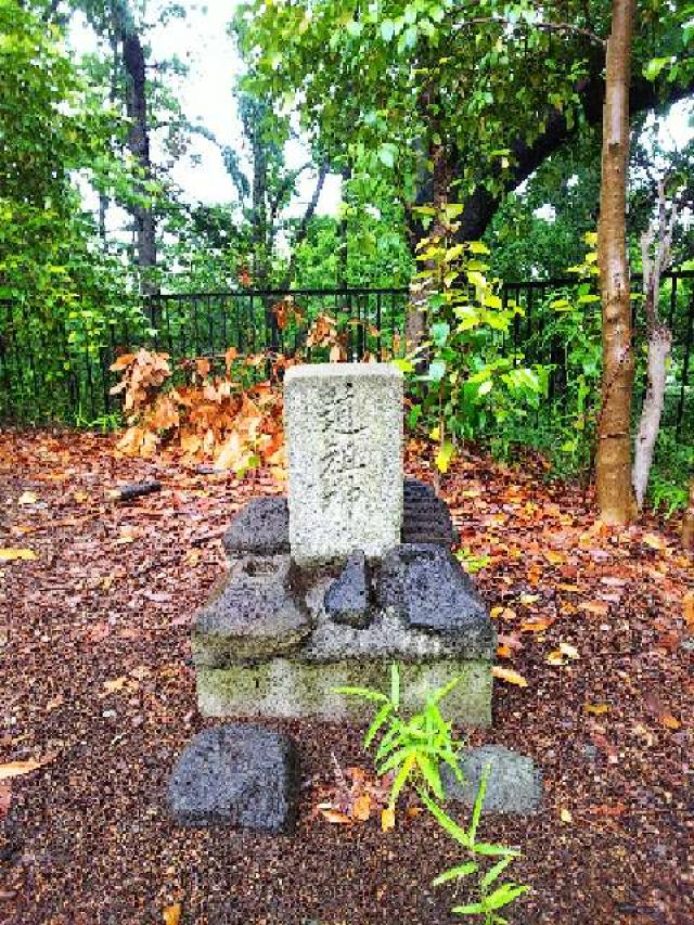 神奈川県川崎市麻生区白鳥2ｰ10ｰ1 白鳥神社の写真47