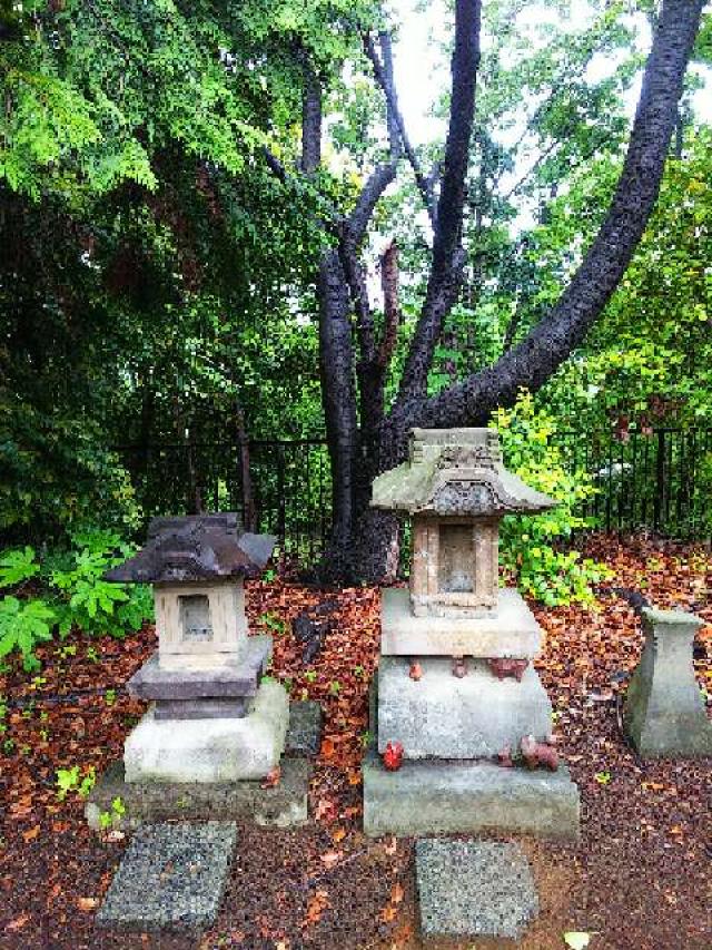 神奈川県川崎市麻生区白鳥2ｰ10ｰ1 白鳥神社の写真48