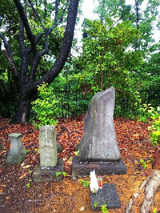 神奈川県川崎市麻生区白鳥2ｰ10ｰ1 白鳥神社の写真49