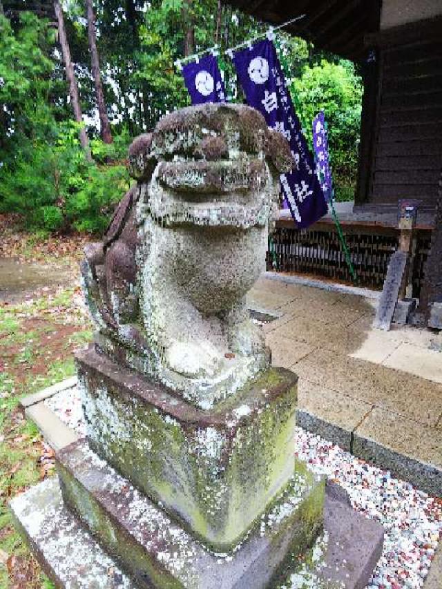 神奈川県川崎市麻生区白鳥2ｰ10ｰ1 白鳥神社の写真53