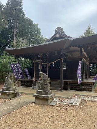 白鳥神社の参拝記録(⛩️🐍🐢まめ🐢🐍⛩️さん)