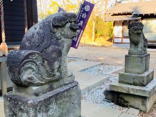 白鳥神社の参拝記録(shikigami_hさん)