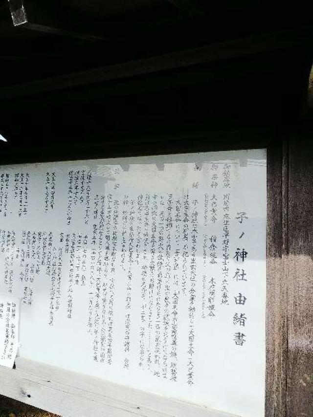 神奈川県川崎市麻生区早野65 子ノ神社の写真10