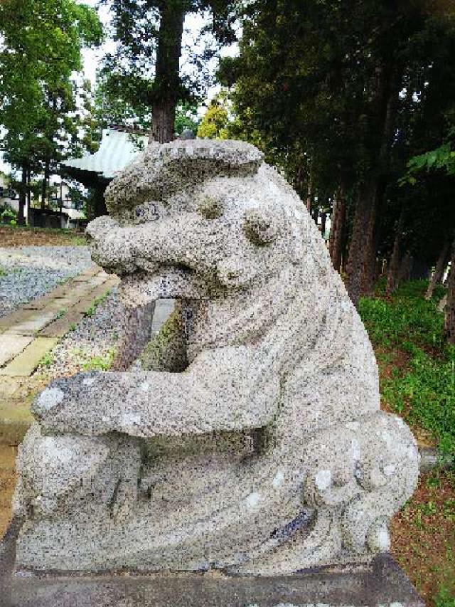 神奈川県川崎市麻生区早野65 子ノ神社の写真40