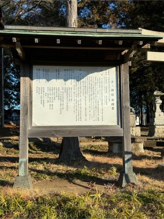 子ノ神社の参拝記録(こーちんさん)