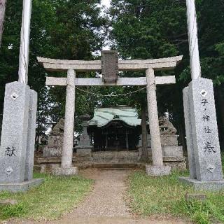 子ノ神社の参拝記録(プラティニさん)