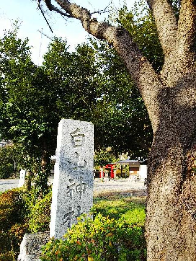 神奈川県川崎市麻生区白山4ｰ3ｰ1 白山神社の写真22