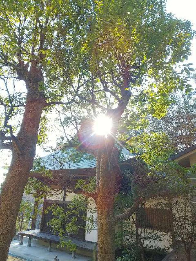 神奈川県川崎市麻生区白山4ｰ3ｰ1 白山神社の写真34