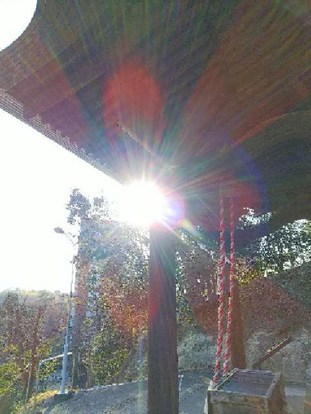 神奈川県川崎市麻生区白山4ｰ3ｰ1 白山神社の写真37