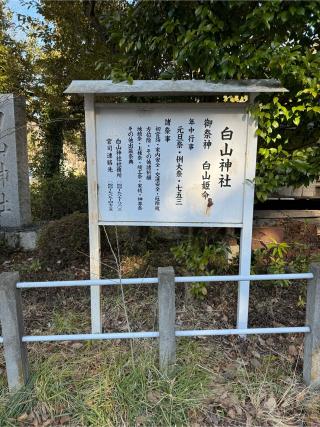 白山神社の参拝記録(こーちんさん)