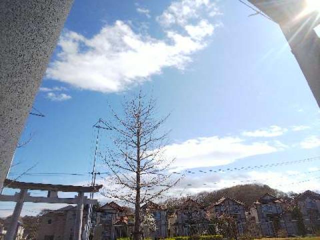 神奈川県川崎市麻生区栗木1-10-1 御嶽神社（栗木御嶽神社）の写真19