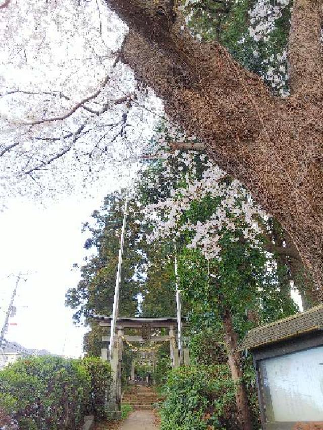 神奈川県川崎市麻生区岡上809 岡上神社の写真44