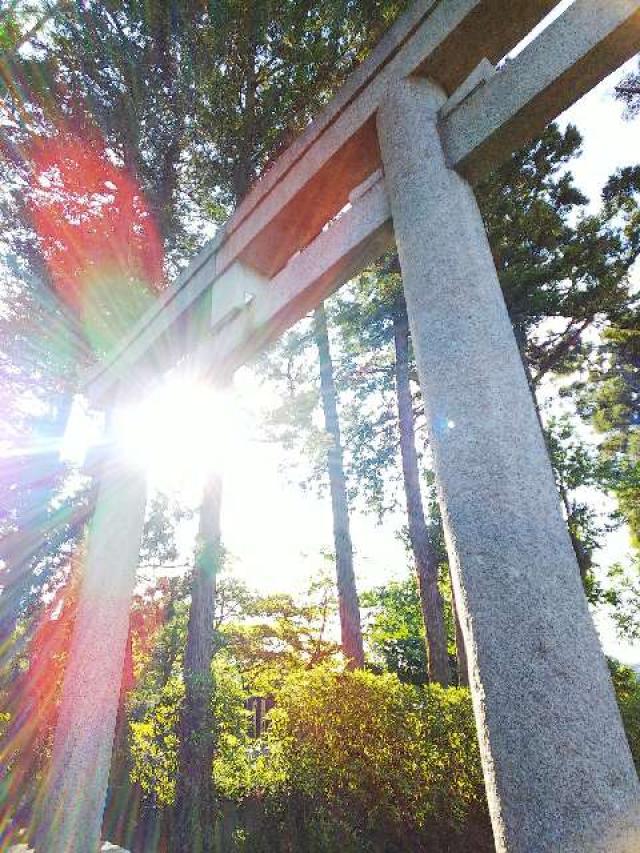 神奈川県川崎市麻生区岡上809 岡上神社の写真58