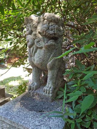 雷神社の参拝記録(はじめさん)