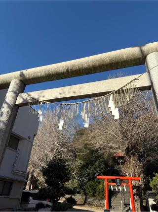 雷神社の参拝記録(⛩️🎠🐢まめ🐢🎠⛩️さん)