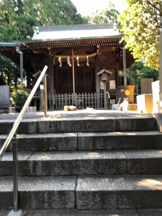 大六天神社の参拝記録(ぱにゃにゃんさん)