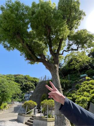 走水神社の参拝記録(なっちゃんさん)