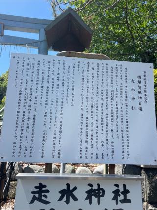 走水神社の参拝記録(⛩️🐍🐢まめ🐢🐍⛩️さん)