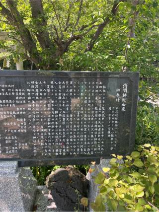 浅間神社の参拝記録(⛩️🎠🐢まめ🐢🎠⛩️さん)