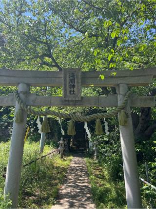 浅間神社の参拝記録(⛩️🎠🐢まめ🐢🎠⛩️さん)