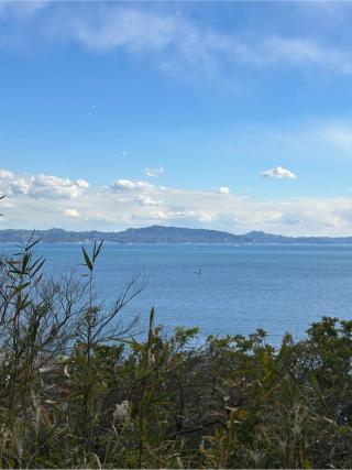 叶神社（東叶神社）の参拝記録(ゆうさん)