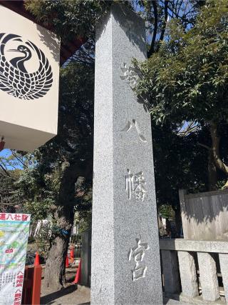 平塚八幡宮（一國一社）の参拝記録(⛩️🐍🐢まめ🐢🐍⛩️さん)