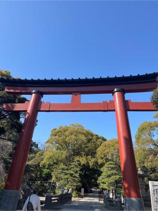 平塚八幡宮（一國一社）の参拝記録(⛩️🐍🐢まめ🐢🐍⛩️さん)