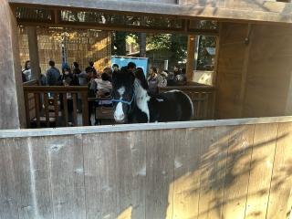 山神社（平塚八幡宮）の参拝記録(ハマユさん)