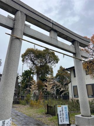 春日神社の参拝記録(⛩️🎠🐢まめ🐢🎠⛩️さん)