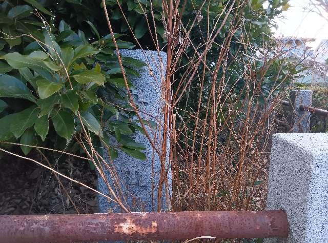 五霊社の参拝記録1