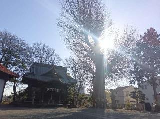 寄木神社の参拝記録(ひーさん)