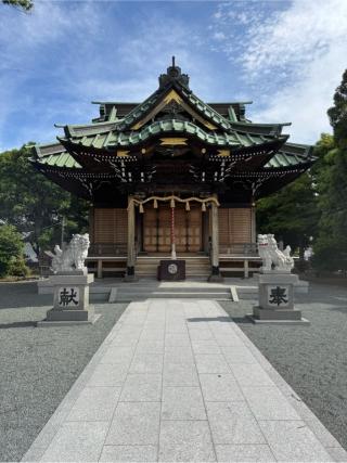 八坂神社の参拝記録(こーちんさん)