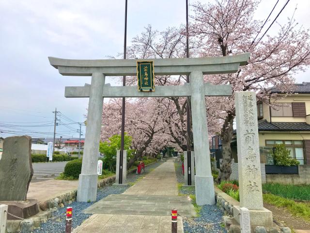 前鳥神社（相模國四之宮）の参拝記録2