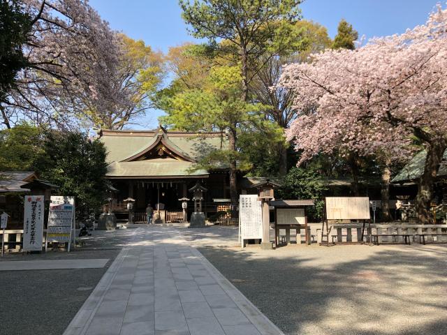 前鳥神社（相模國四之宮）の参拝記録8